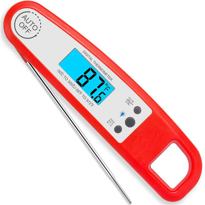 Baked Meat Temperature Thermometer