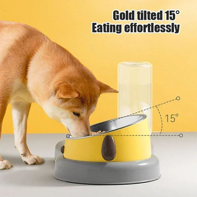 Pet Feeder Bowls Tilt Design Protect