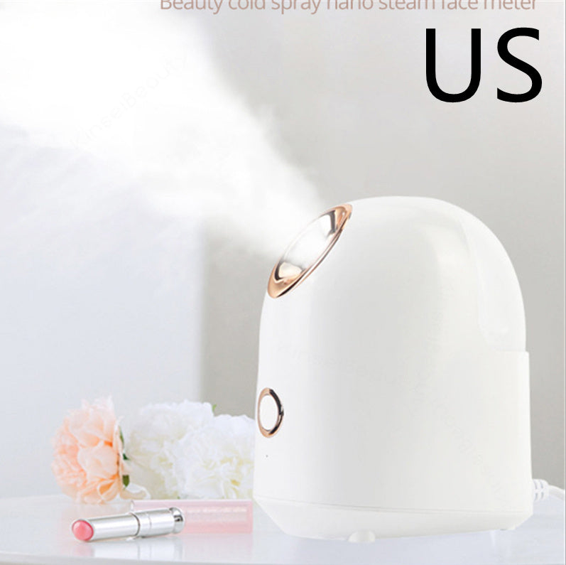 Facial Beauty Steamer