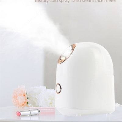 Facial Beauty Steamer