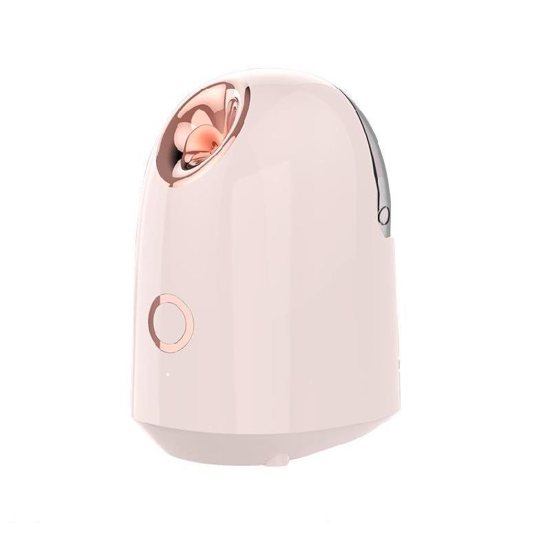 Facial Beauty Steamer