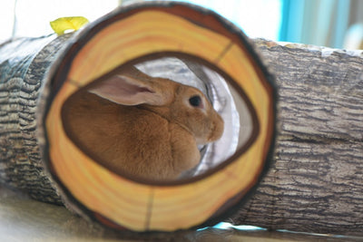 Tree Pattern Pet Tunnel