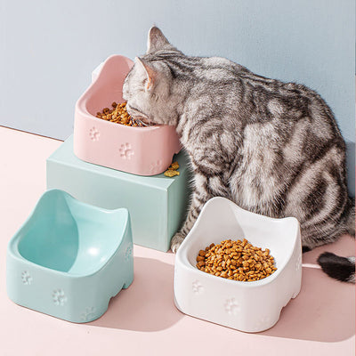 Ceramic Pets Food Bowl